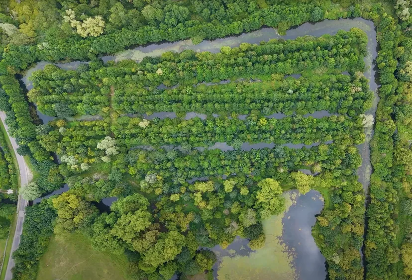 Le Lodge dans le parc d'un château avec accès à ses étangs