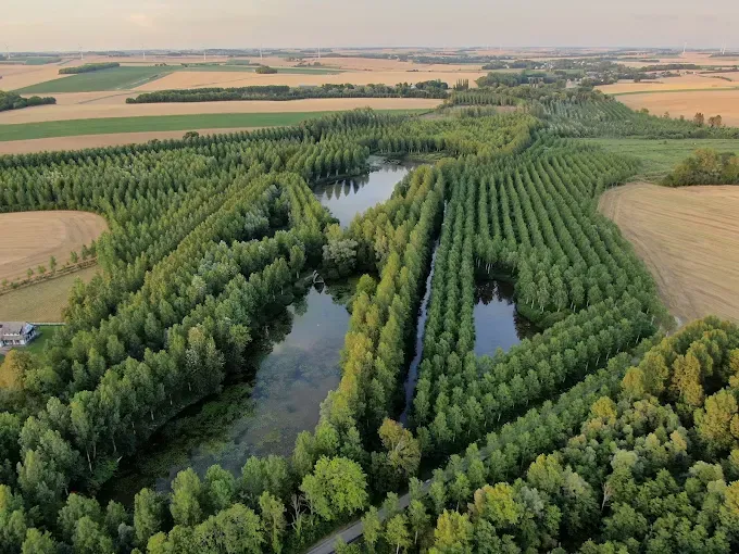 Le Lodge dans le parc d'un château avec accès à ses étangs
