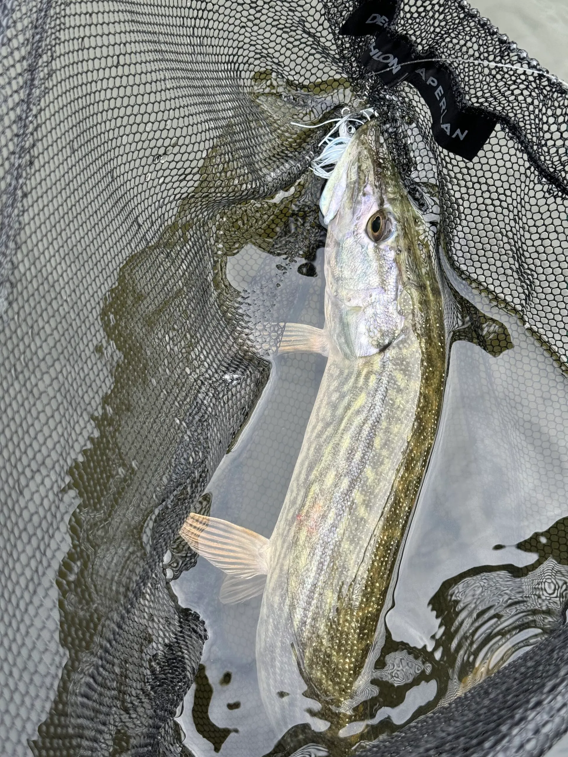 Evasion insulaire mystérieuse au cœur du vignoble nantais