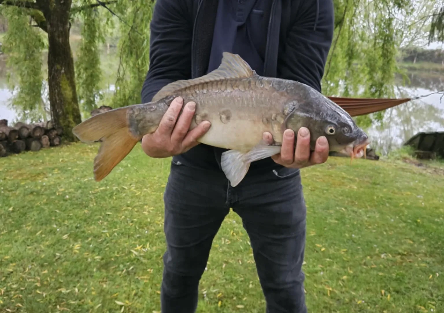 Evasion insulaire mystérieuse au cœur du vignoble nantais