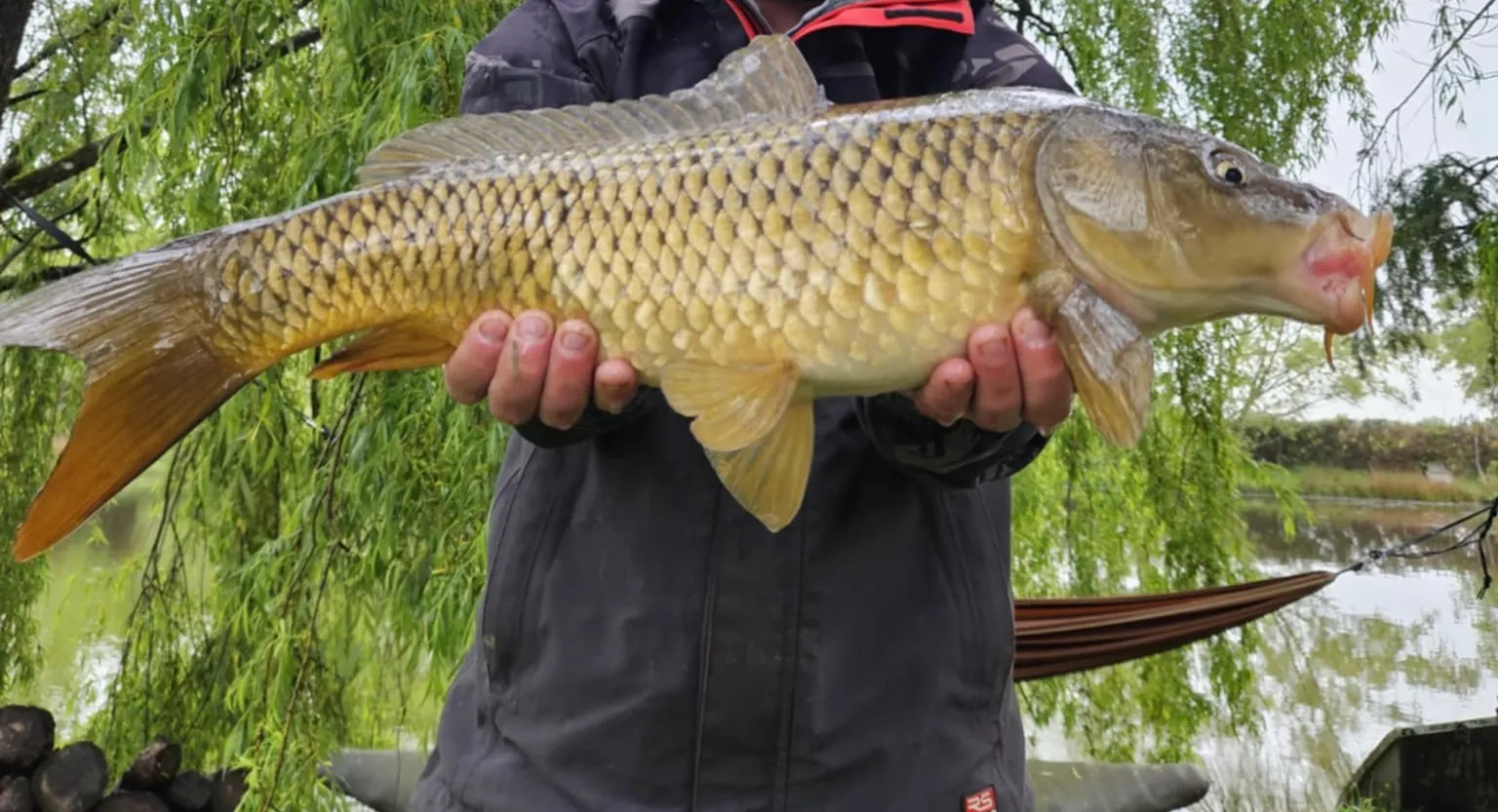 Evasion insulaire mystérieuse au cœur du vignoble nantais