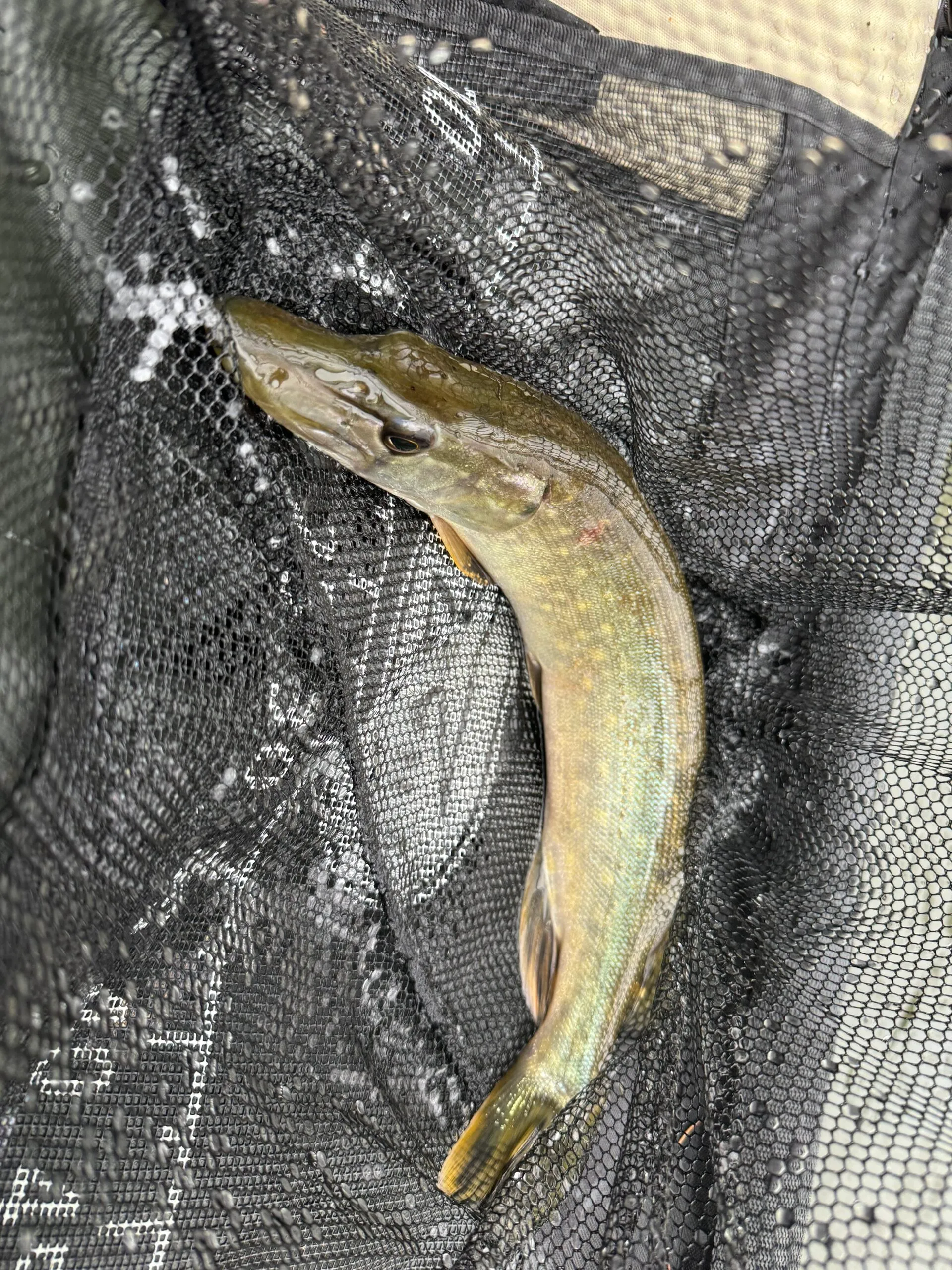 Evasion insulaire mystérieuse au cœur du vignoble nantais