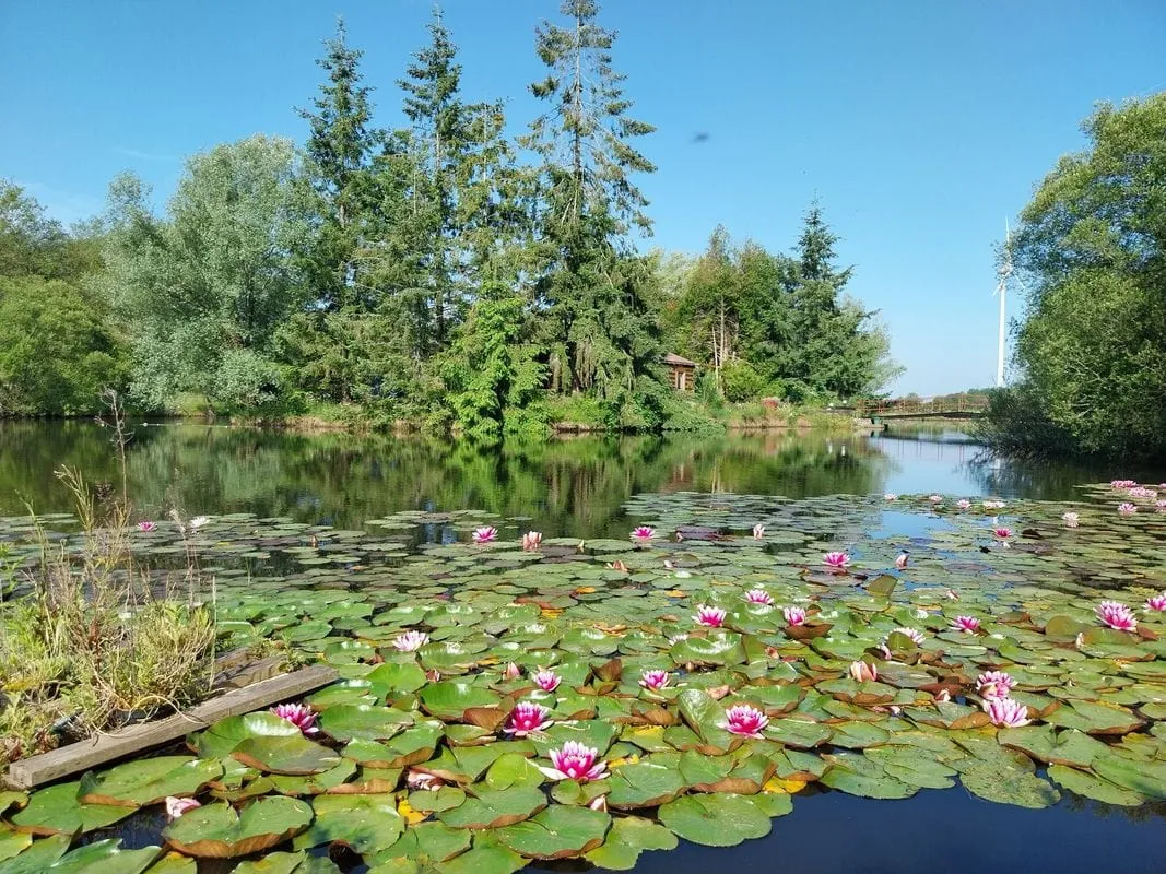 Evasion insulaire mystérieuse au cœur du vignoble nantais