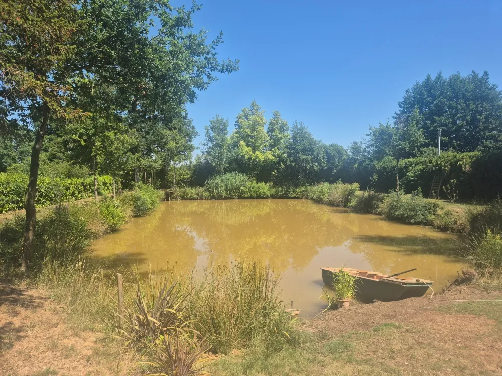 Etang dans la Sathe de 500 m² pour une pêche entres amis - jusqu'à 20 personnes