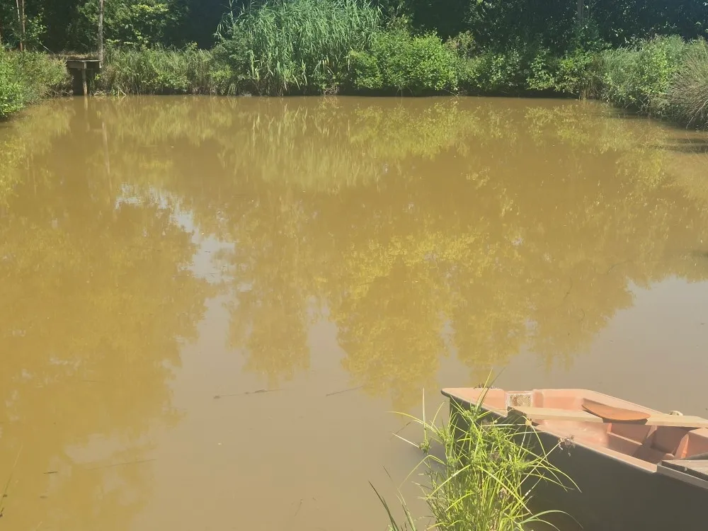 Etang dans la Sathe de 500 m² pour une pêche entres amis - jusqu'à 20 personnes