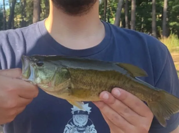 Tent safari with privatization of its pond on an area of 74.13 ac