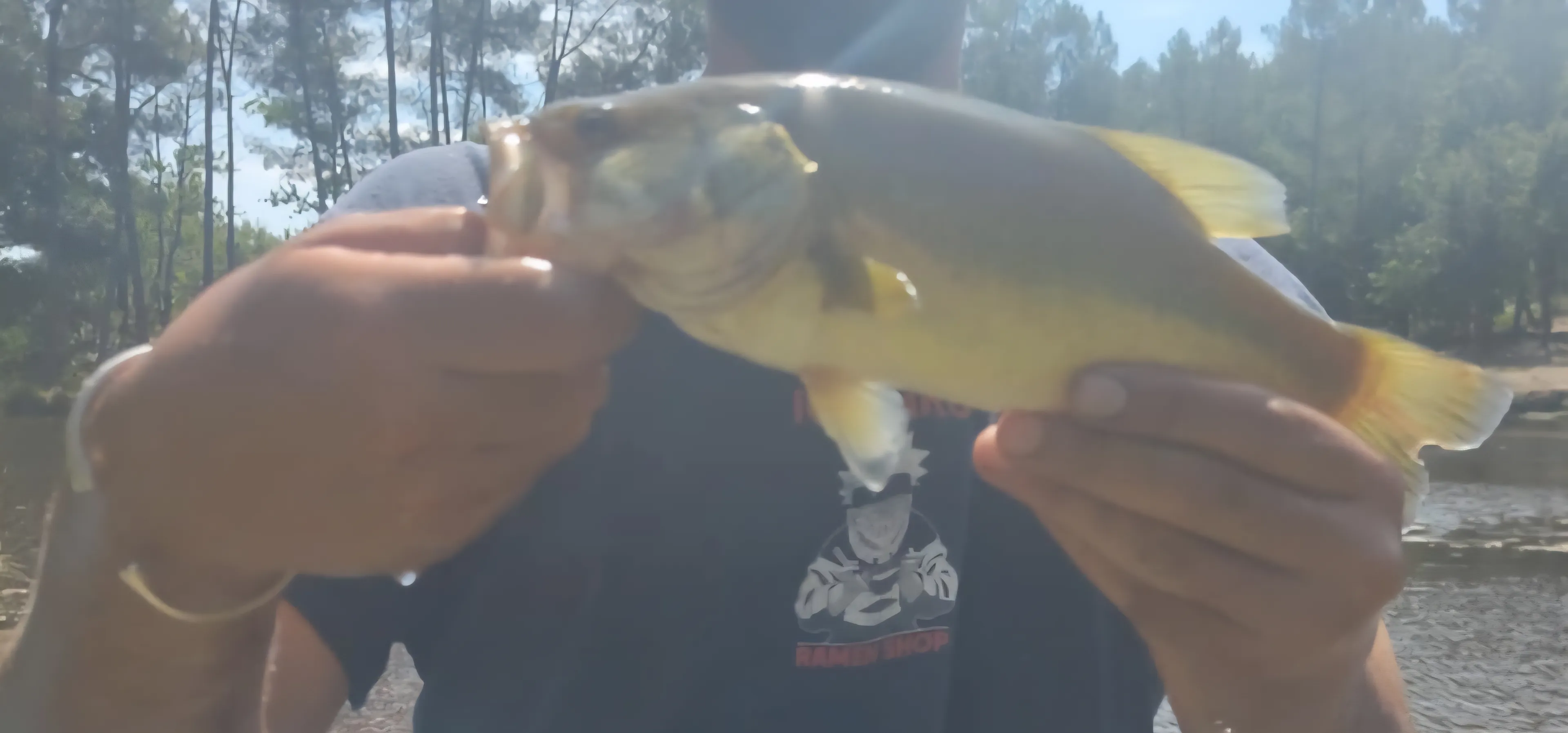 Tent safari with privatization of its pond on an area of 74.13 ac