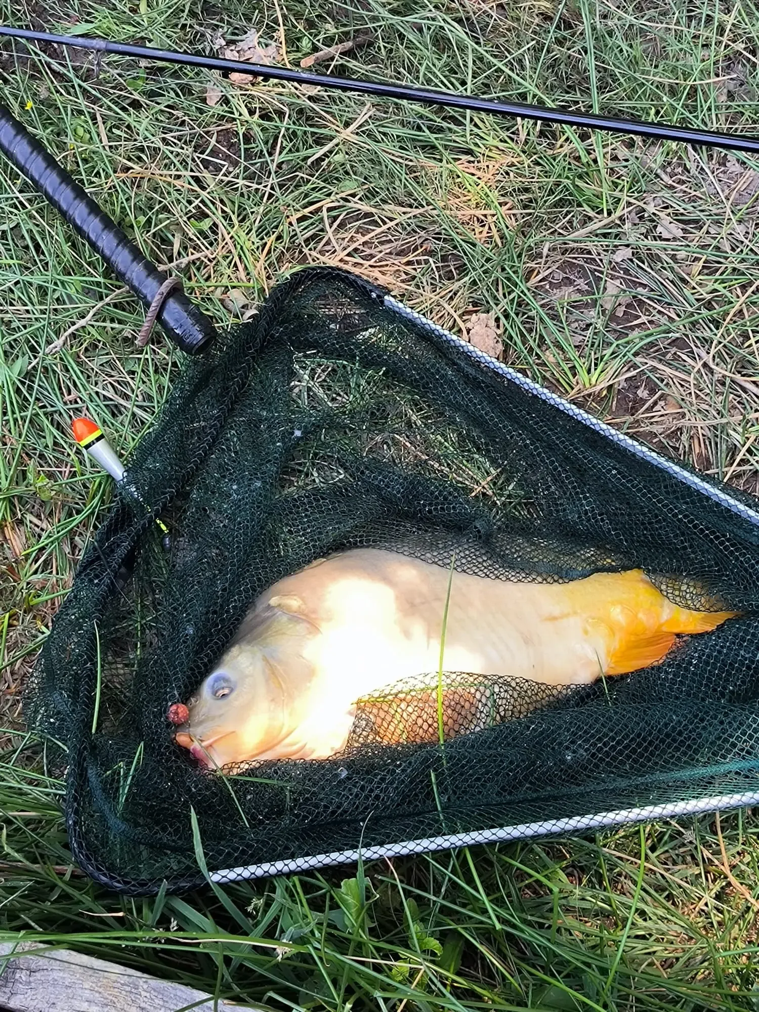 Cabane de pêcheur sur étang d'1 hectare à 30 min de Nantes