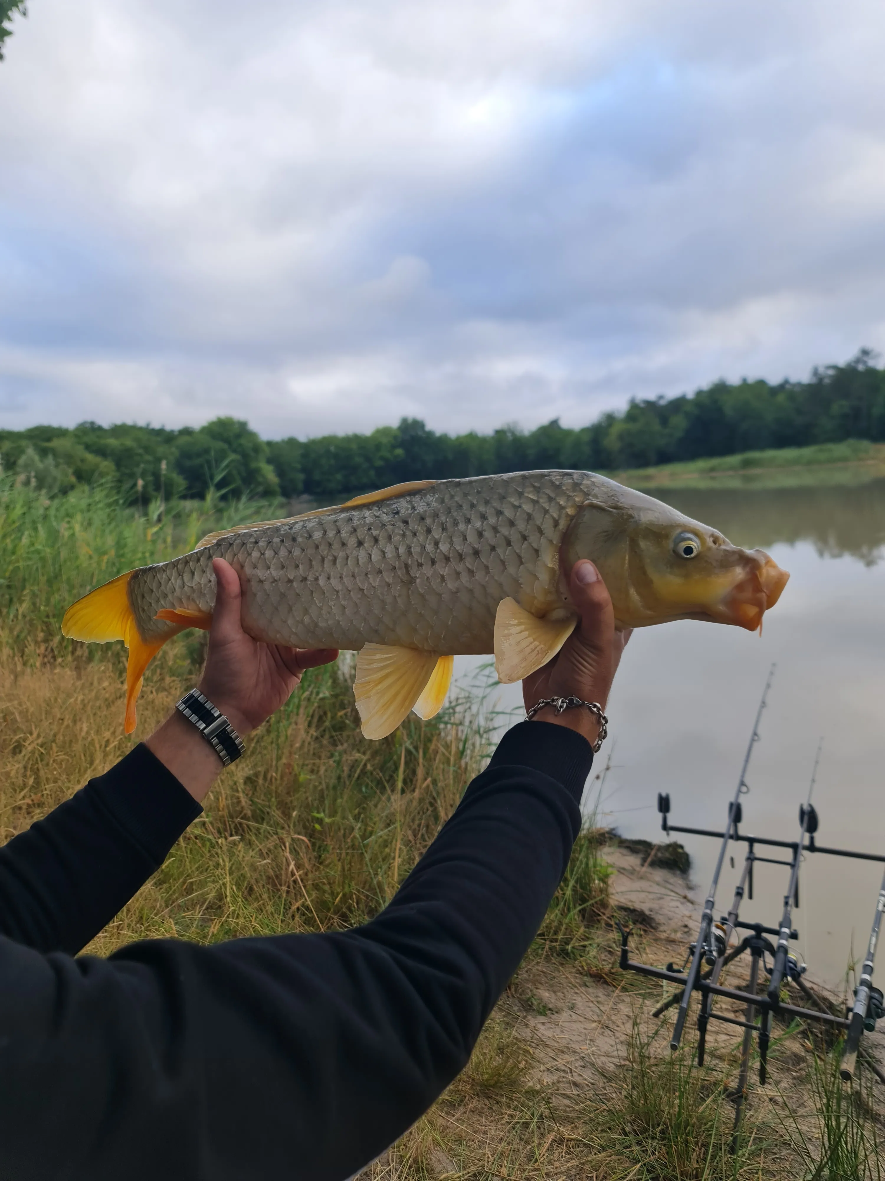 Rent pond for fishing of 12.36 ac