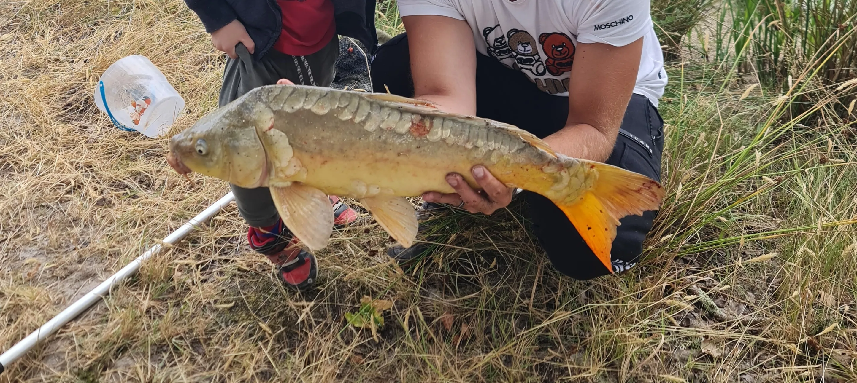 Rent pond for fishing of 12.36 ac