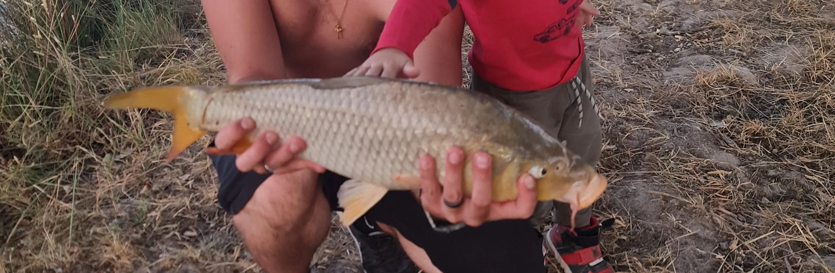 Rent pond for fishing of 12.36 ac