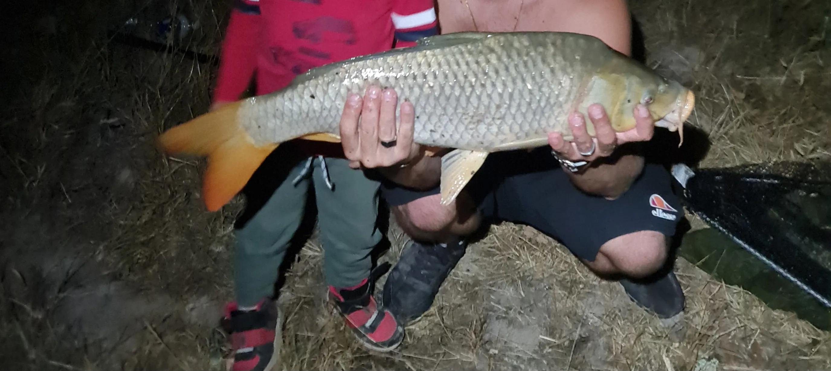 Rent pond for fishing of 12.36 ac