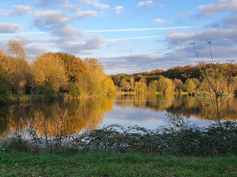 Chalet en bord d'étang