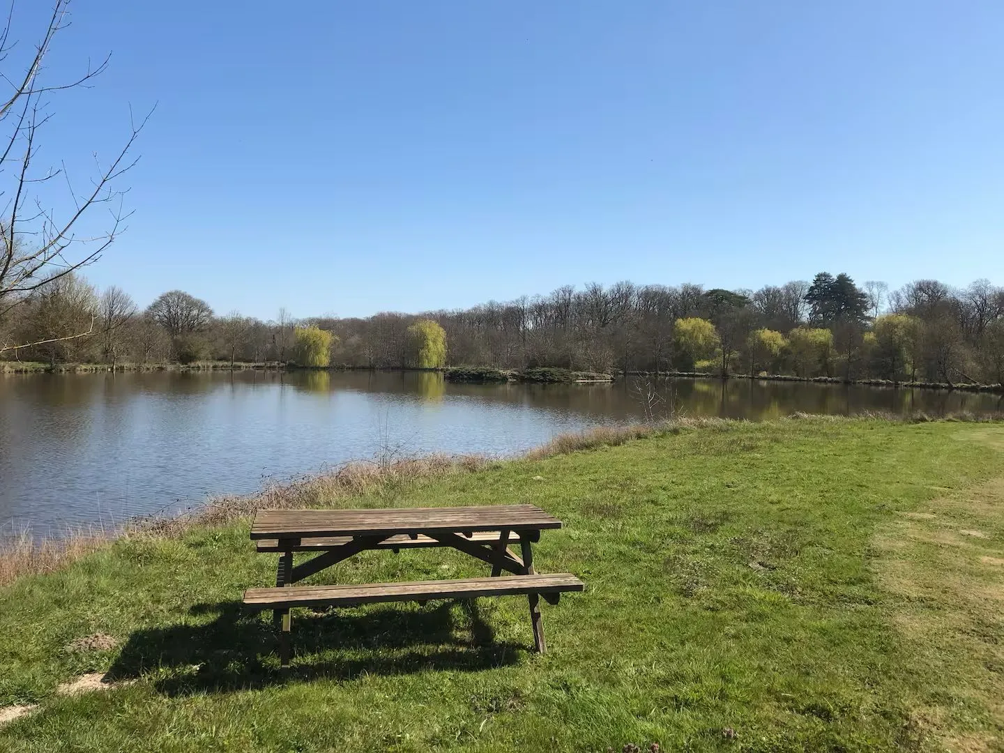 Mobil-home pour 4 personnes avec accès à un étang privé de 2 hectares.