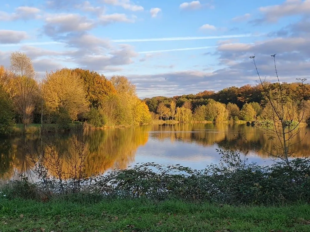 Mobil-home pour 4 personnes avec accès à un étang privé de 2 hectares.