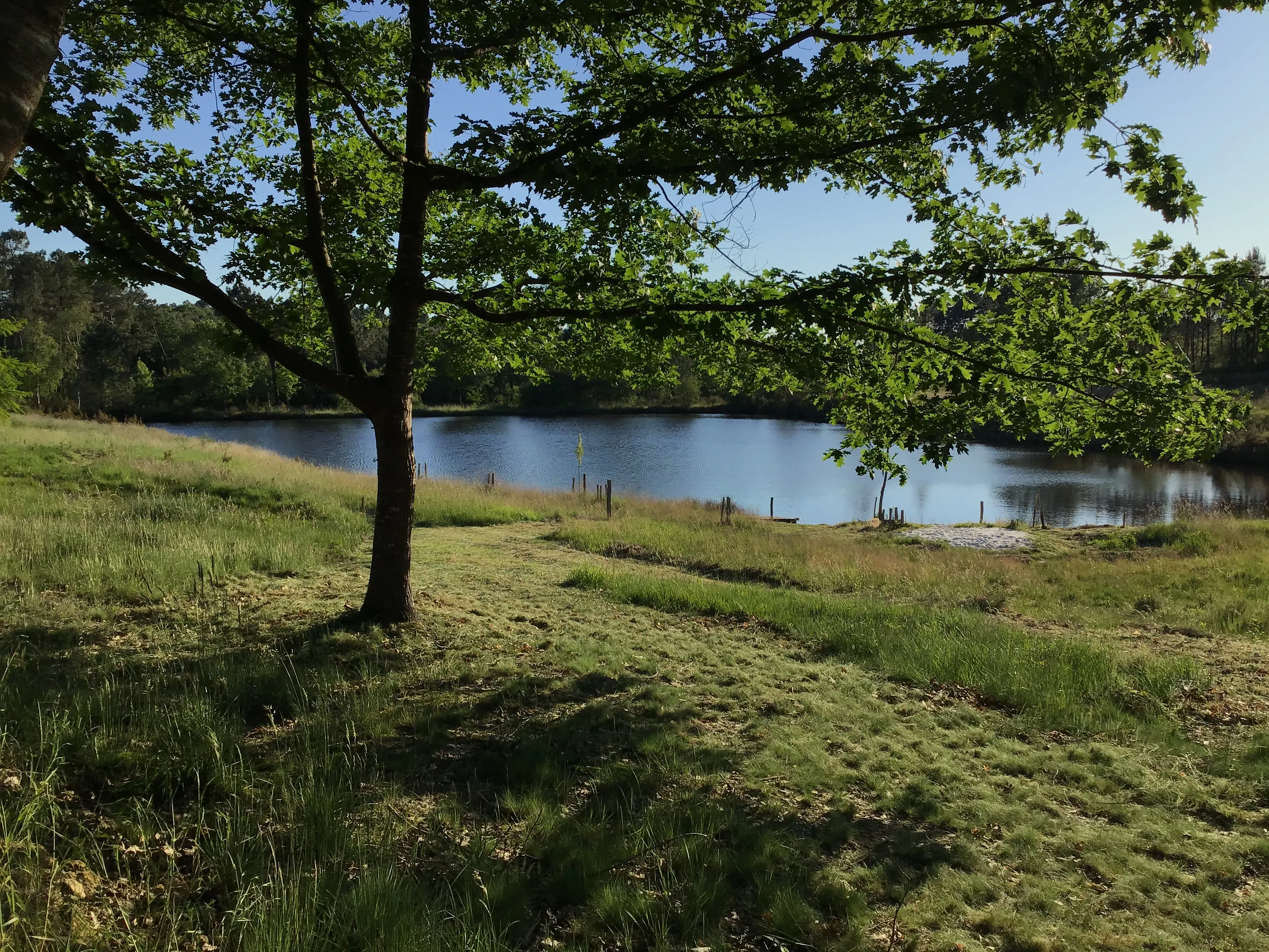 Étang privé au cœur du Périgord Blanc à 1h30 de Bordeaux