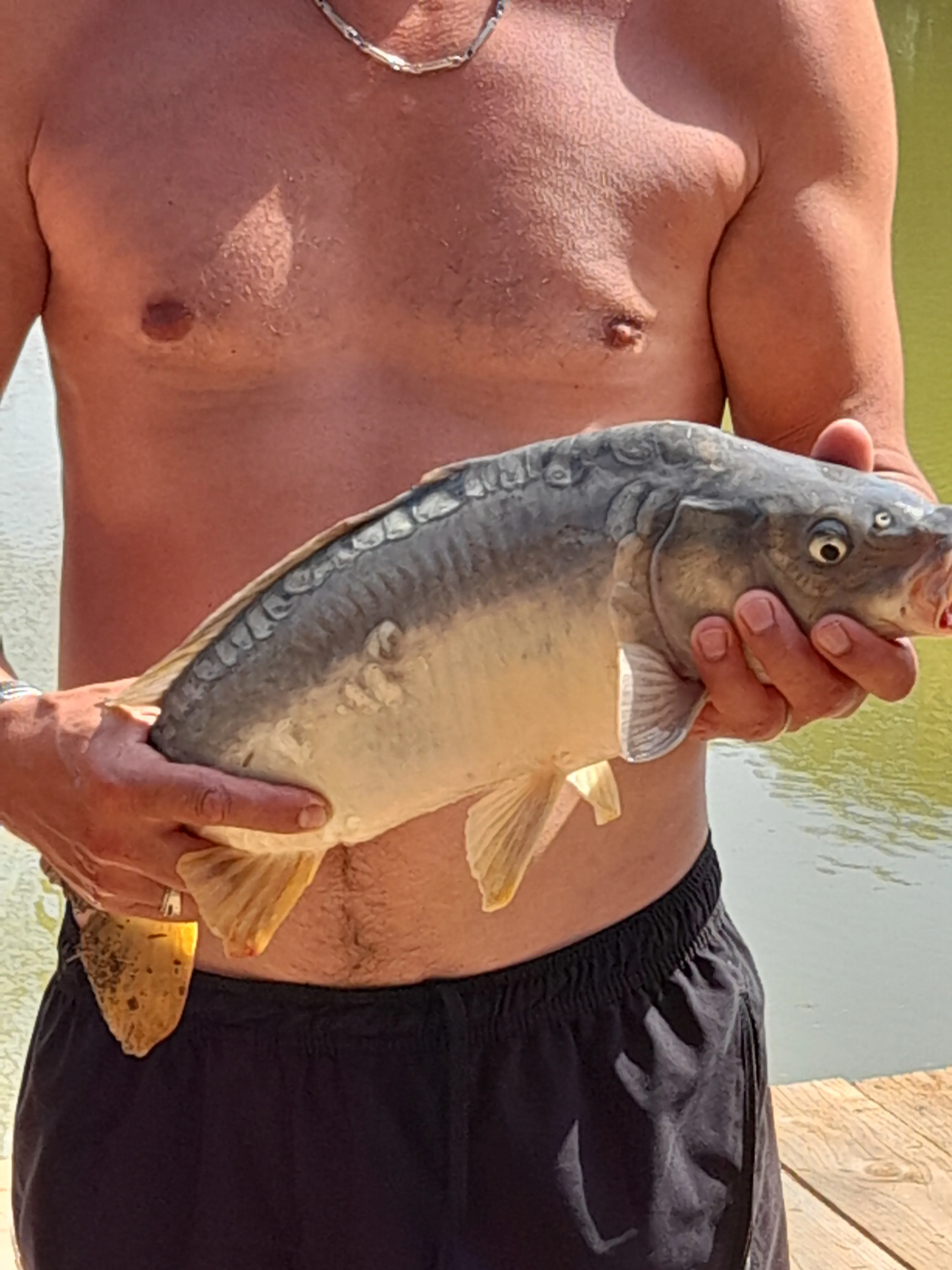 NOUVEAUX TRAVAUX ! Cottage avec étang et son île en pleine nature