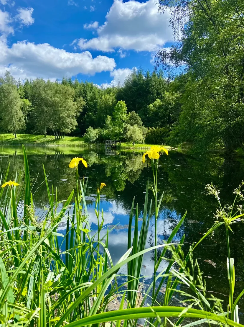 Grand gîte à louer dans le Morvan – 14 couchages, 3 étangs, 7 hectares de nature
