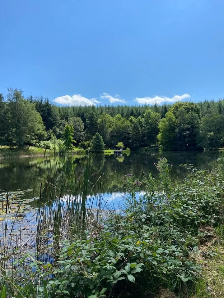 Grand gîte à louer dans le Morvan – 14 couchages, 3 étangs, 7 hectares de nature