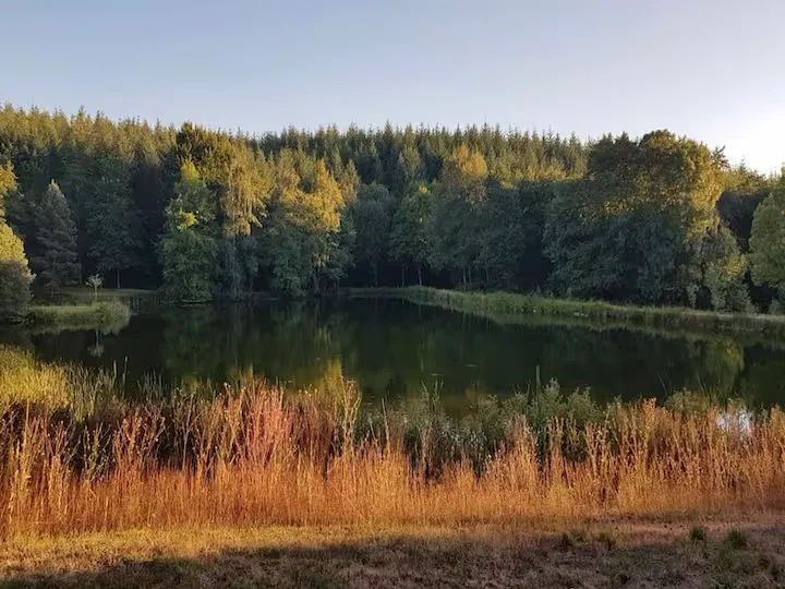 Grand gîte à louer dans le Morvan – 14 couchages, 3 étangs, 7 hectares de nature