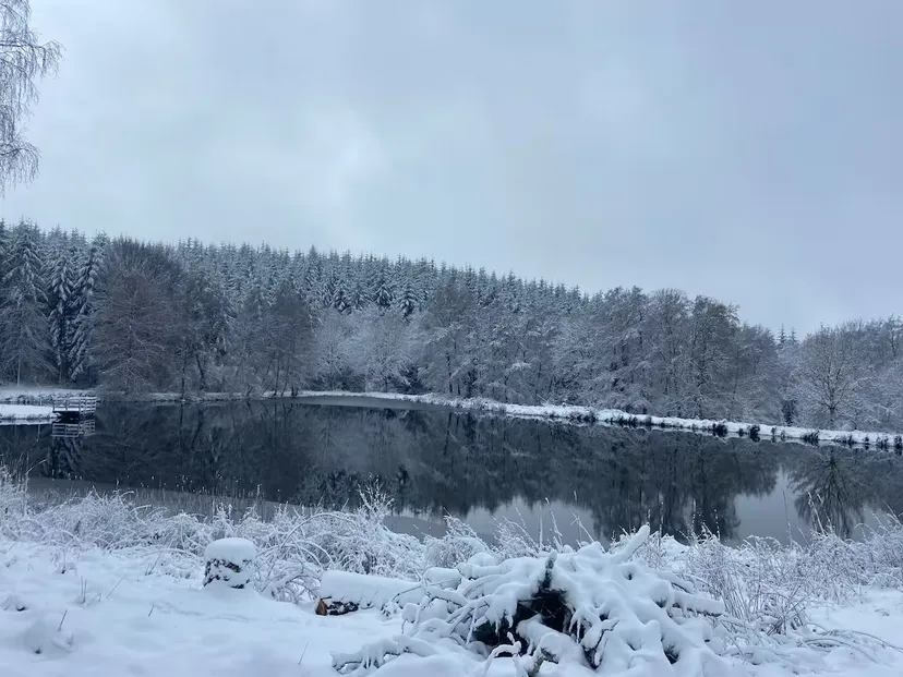Gite en pleine nature, entre lac, forêt et confort LE POÈ