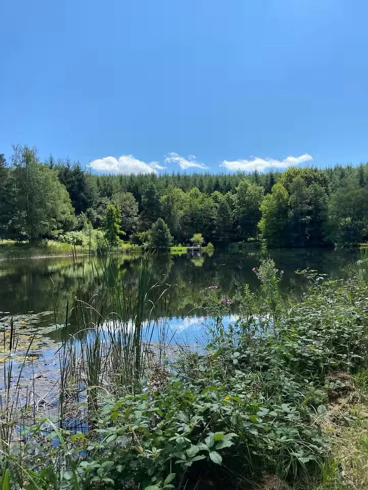 Gite en pleine nature, entre lac, forêt et confort LE POÈ