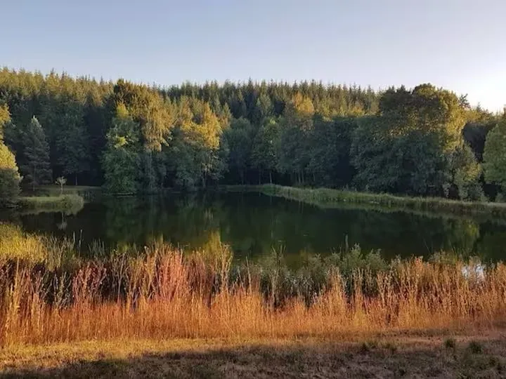Gite en pleine nature, entre lac, forêt et confort LE POÈ