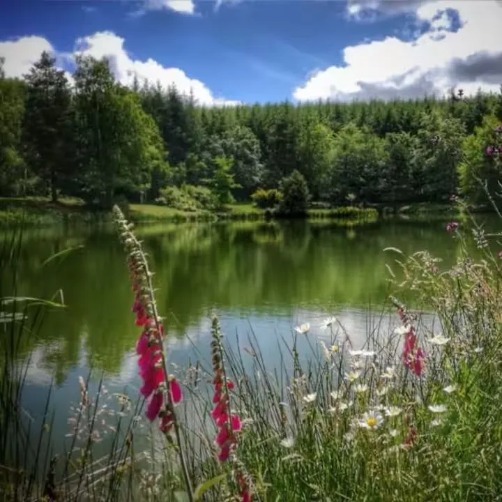 Gite en pleine nature, entre lac, forêt et confort LE POÈ