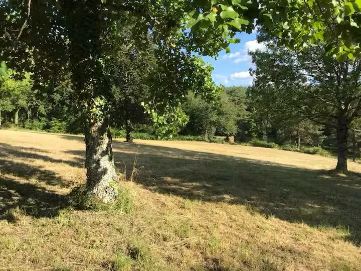 Gite en pleine nature, entre lac, forêt et confort LE POÈ