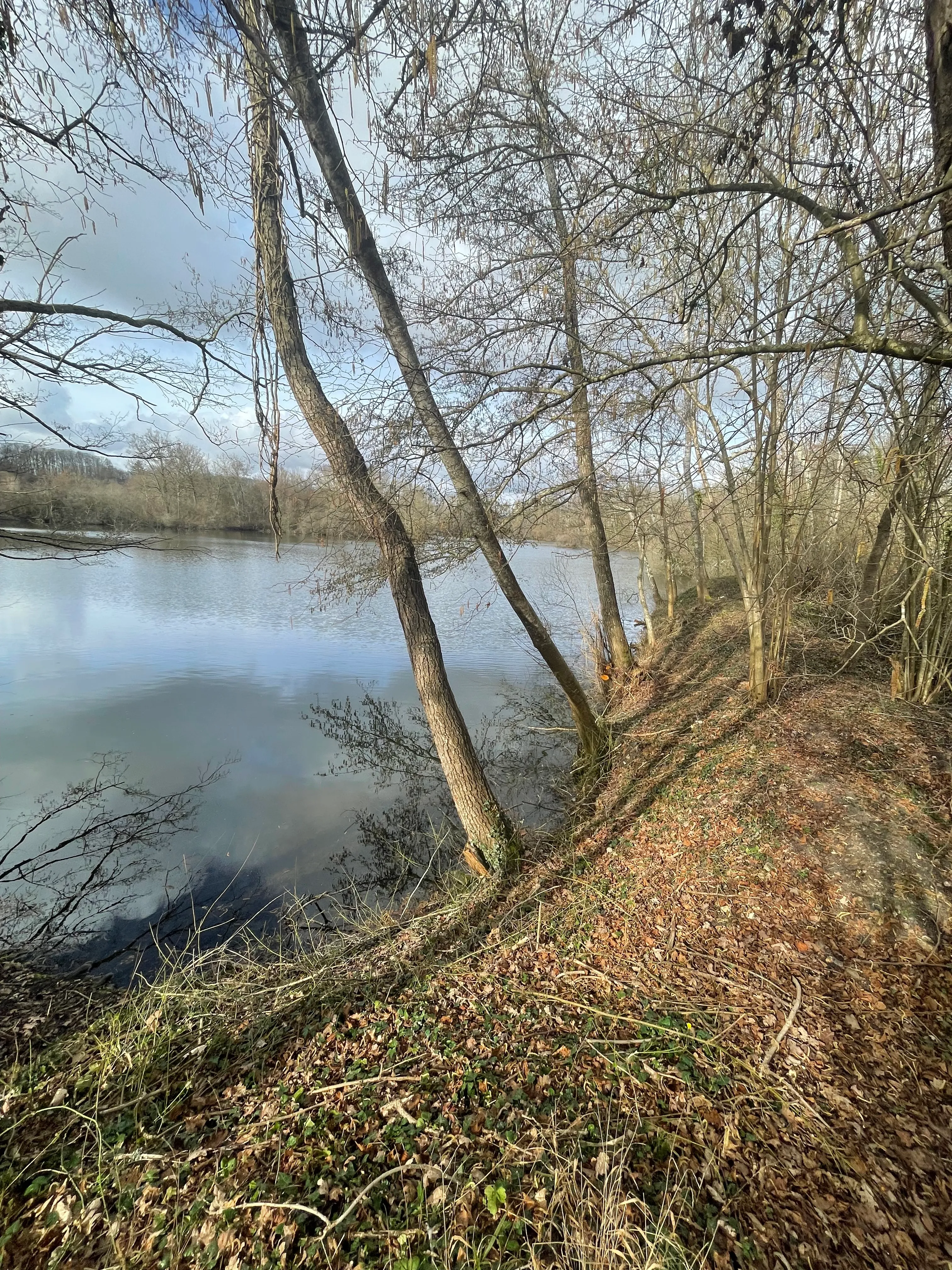 Mobil home with a 4.94 ac pond for fishermen close to Paris