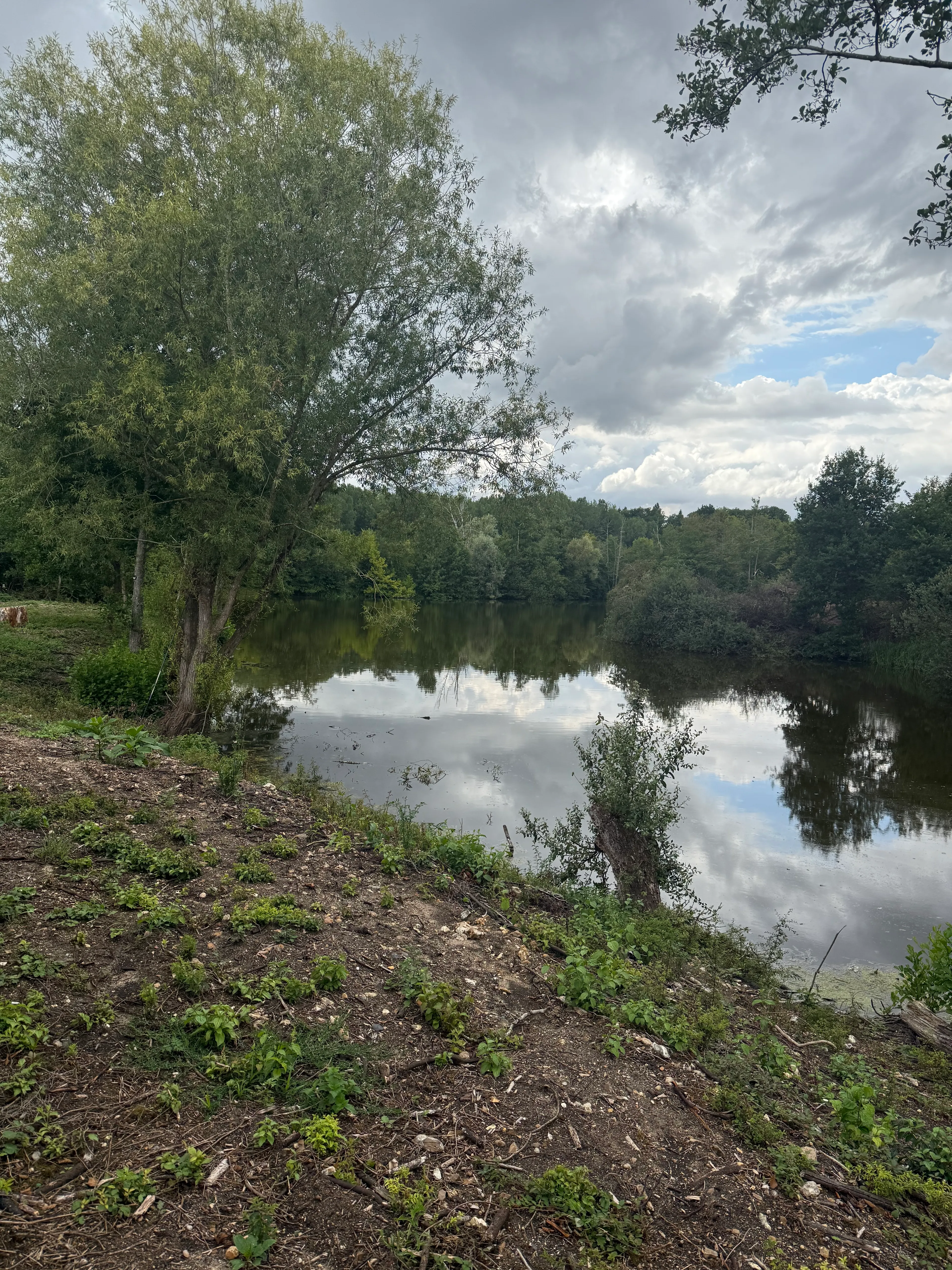 Mobil home with a 4.94 ac pond for fishermen close to Paris