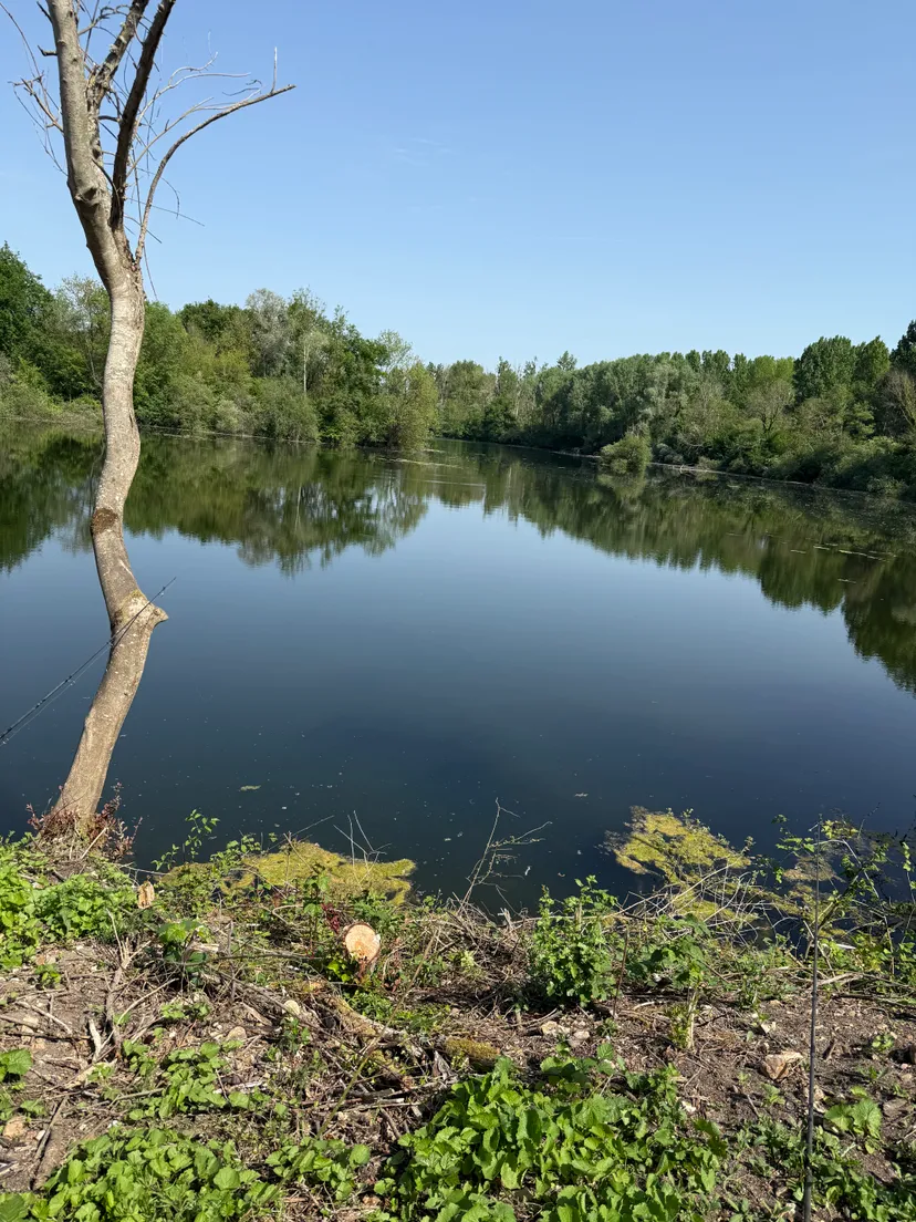 Mobil home with a 4.94 ac pond for fishermen close to Paris