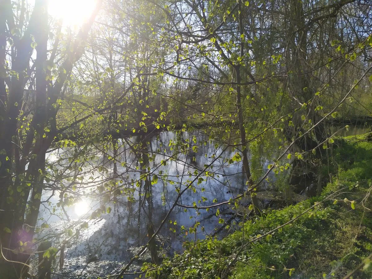 Studio avec accès rivière