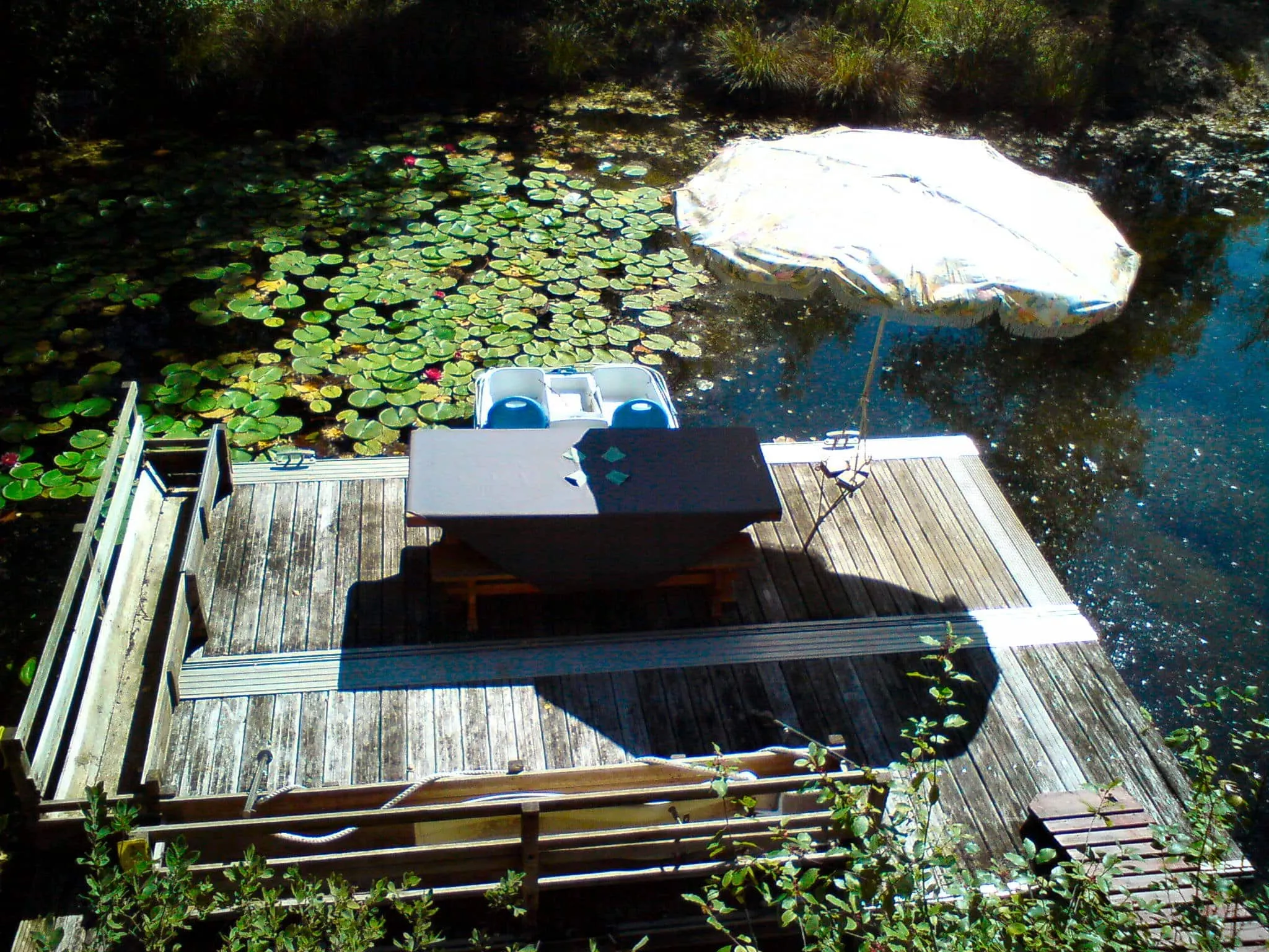 Séjour unique et sauvage : Étang privé et nature préservée près de Provins