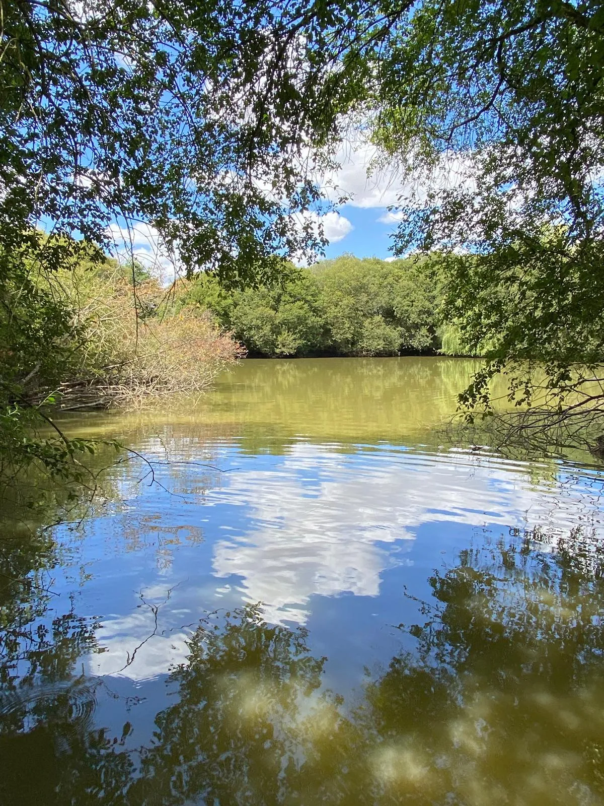 Pond for rent in Mayenne