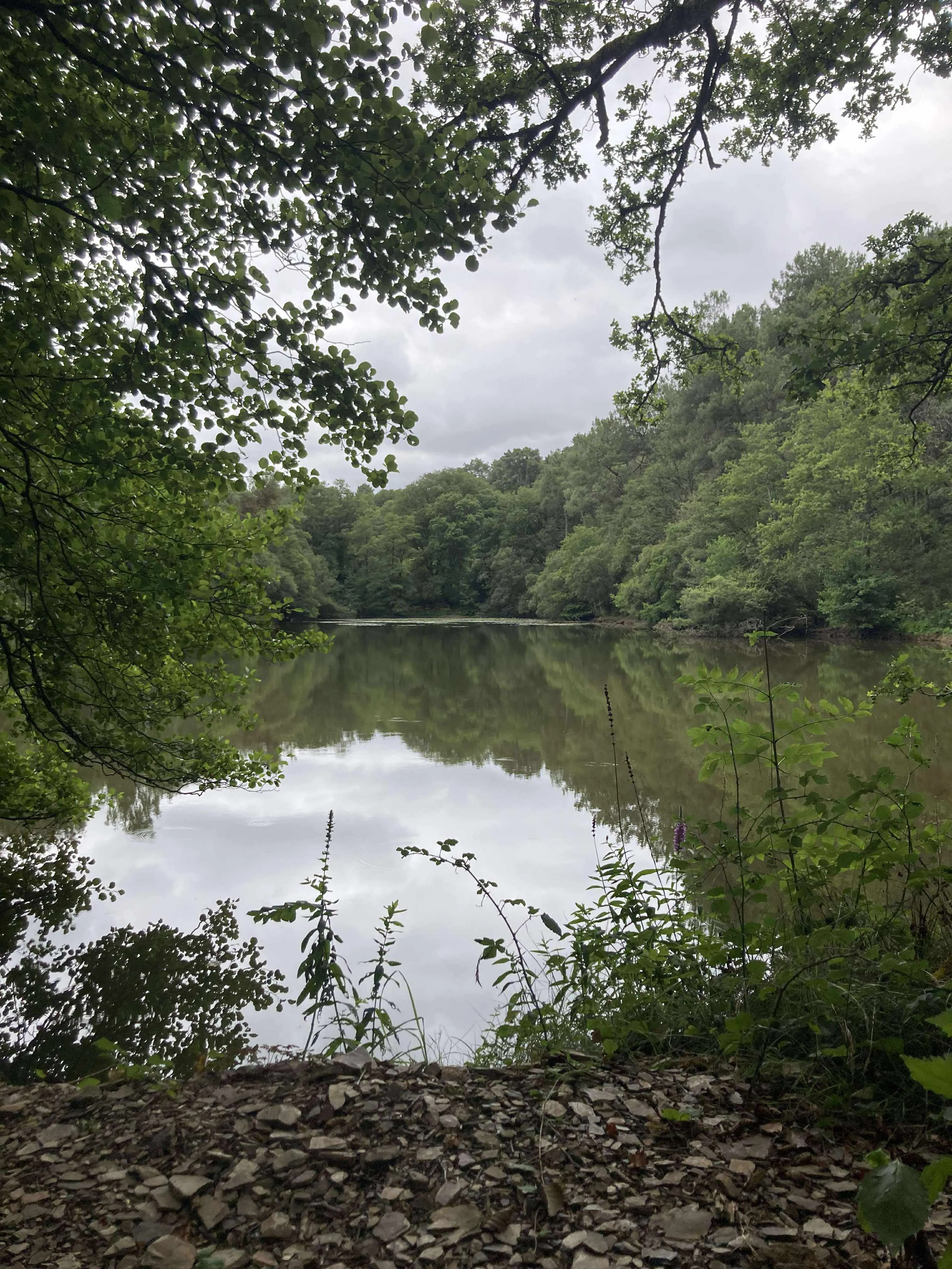 Privatisation étang de 1ha en Bretagne