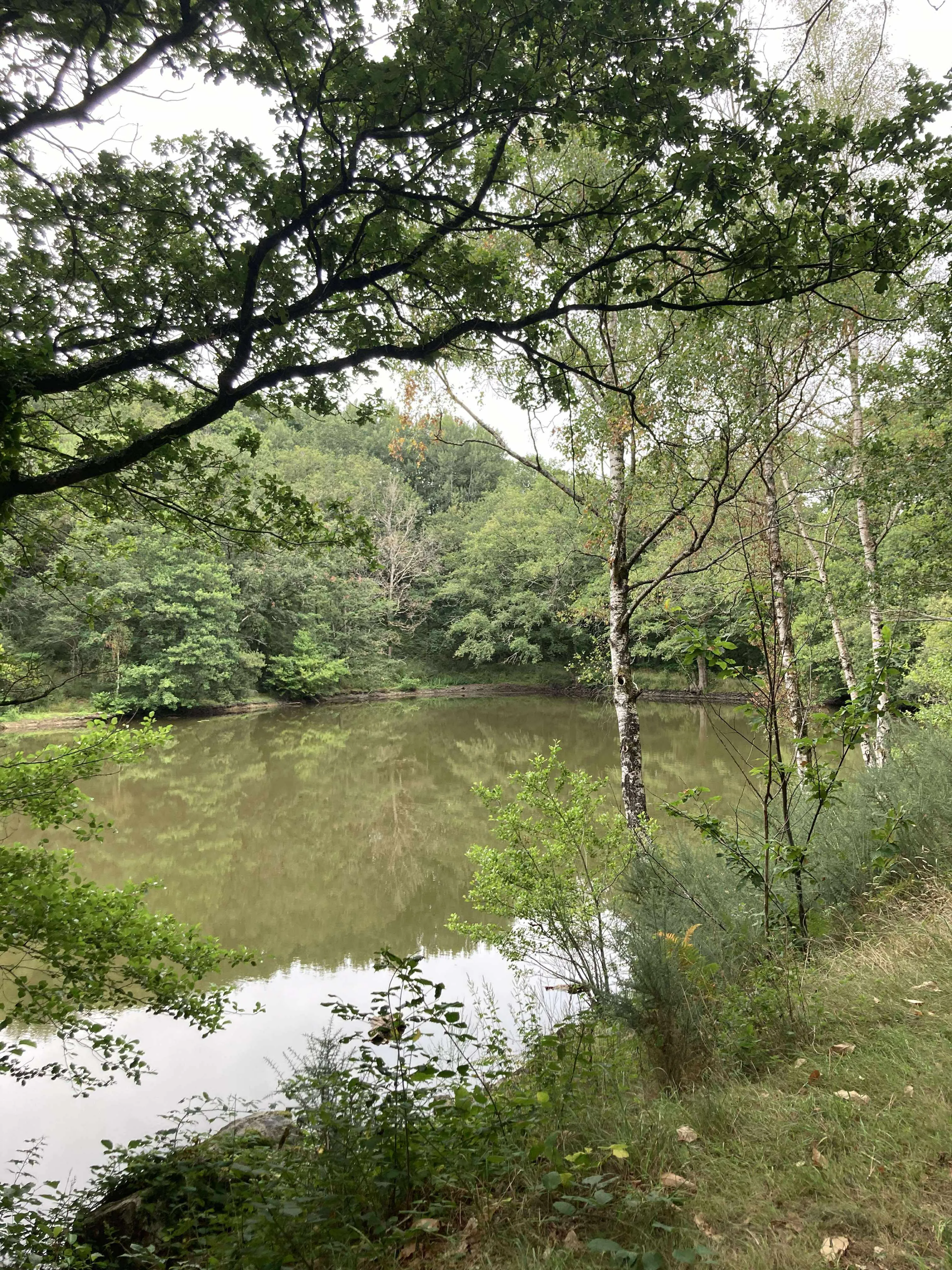 Privatisation étang de 1ha en Bretagne