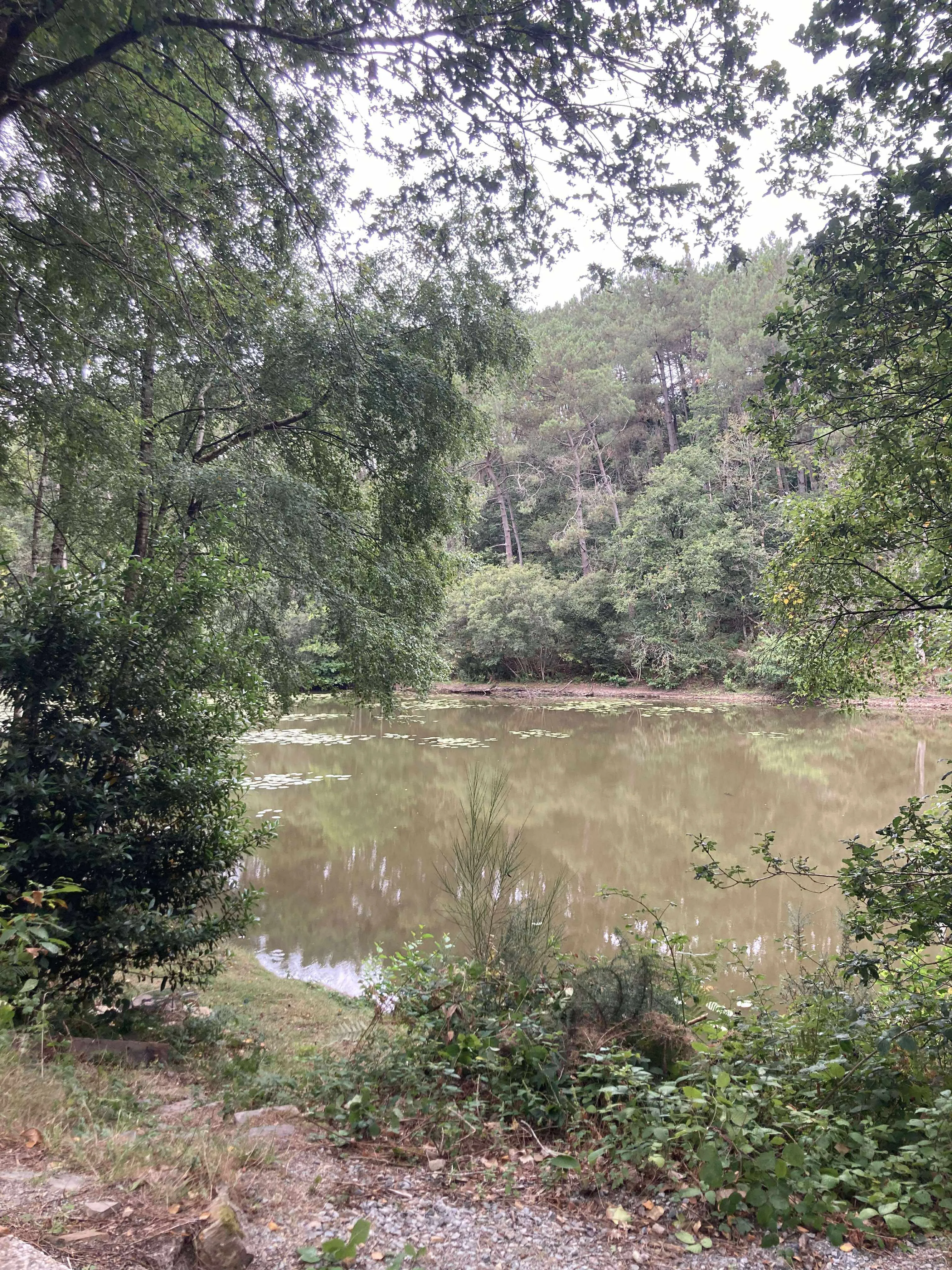 Privatisation étang de 1ha en Bretagne