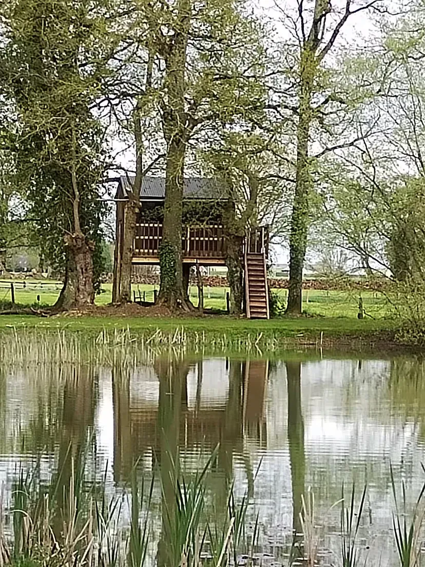 Cabana nestled in trees by its pond