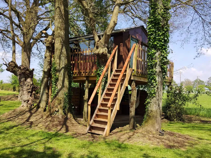 Cabana nestled in trees by its pond
