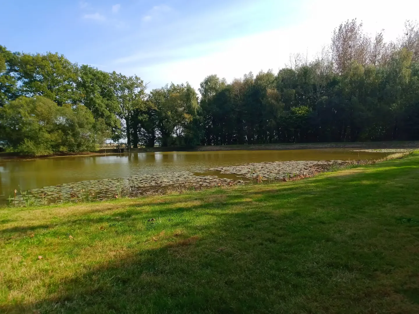 Détente au bord de l'eau : maisonnette chic avec jacuzzi et accès à l'étang