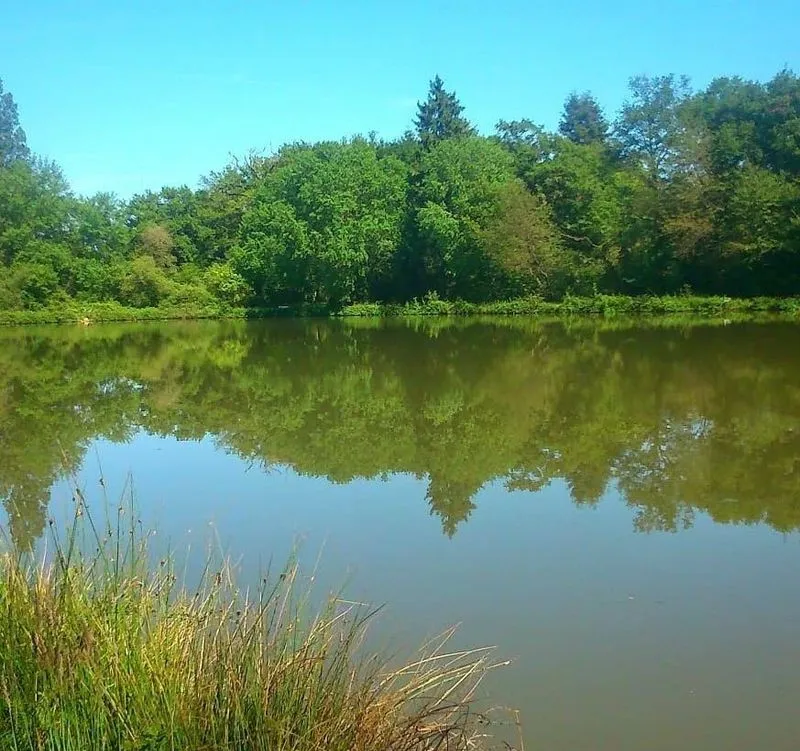 Etang privé 1h pour la pêche en plein milieu de la campagne seul au monde proche d'Orléans