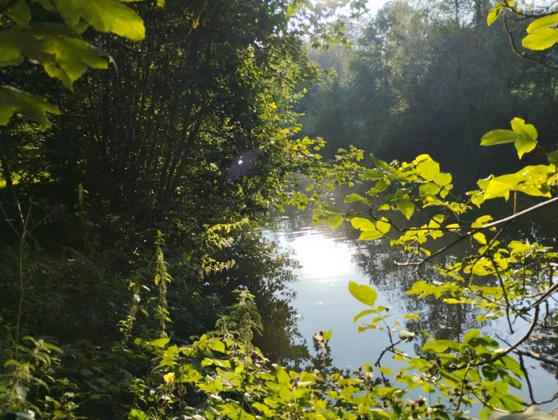 Etang à louer en Haute-Saône pour camper au bord de l’eau