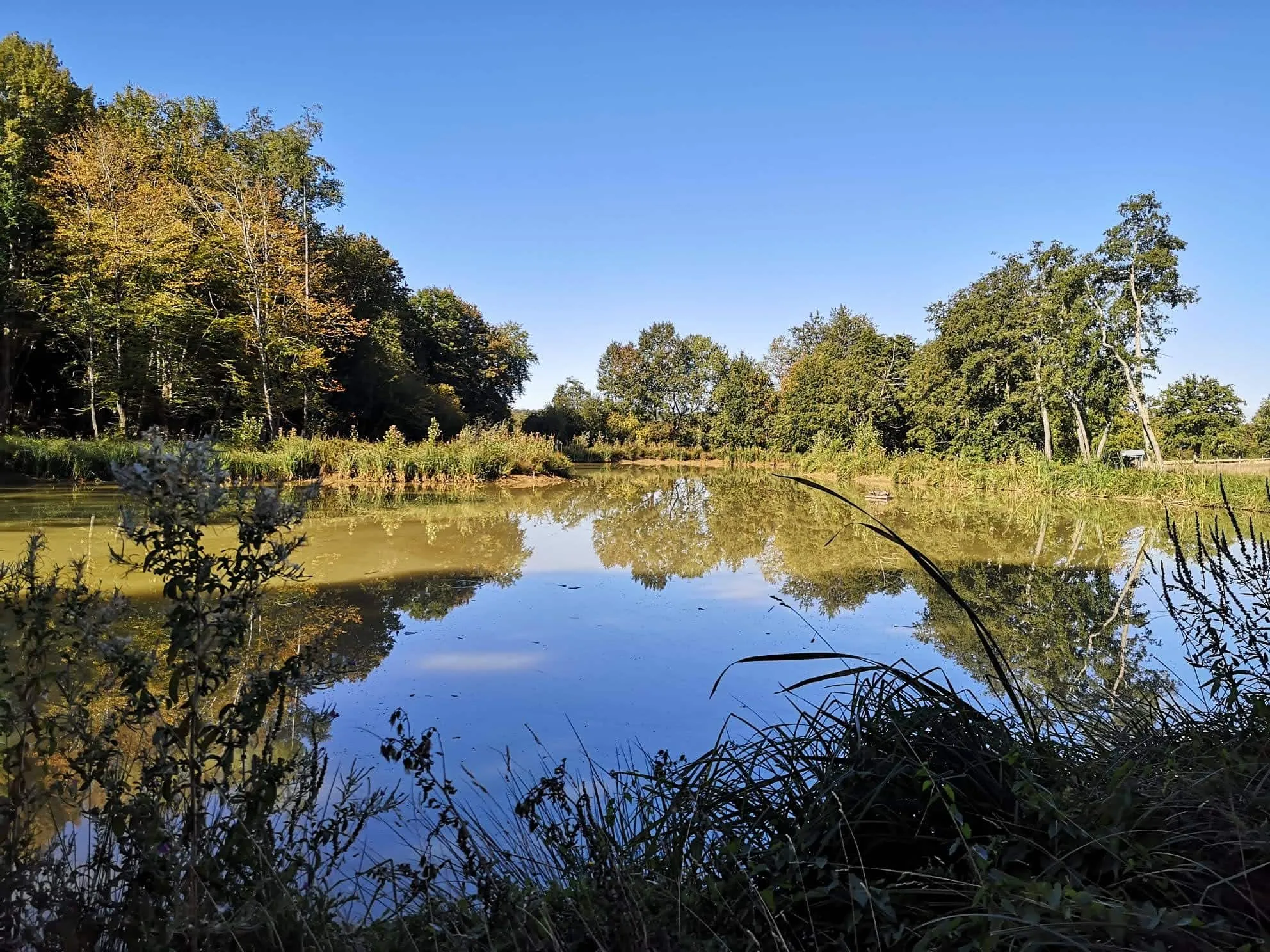 Etang pour pêcher et camper dans la Nièvre
