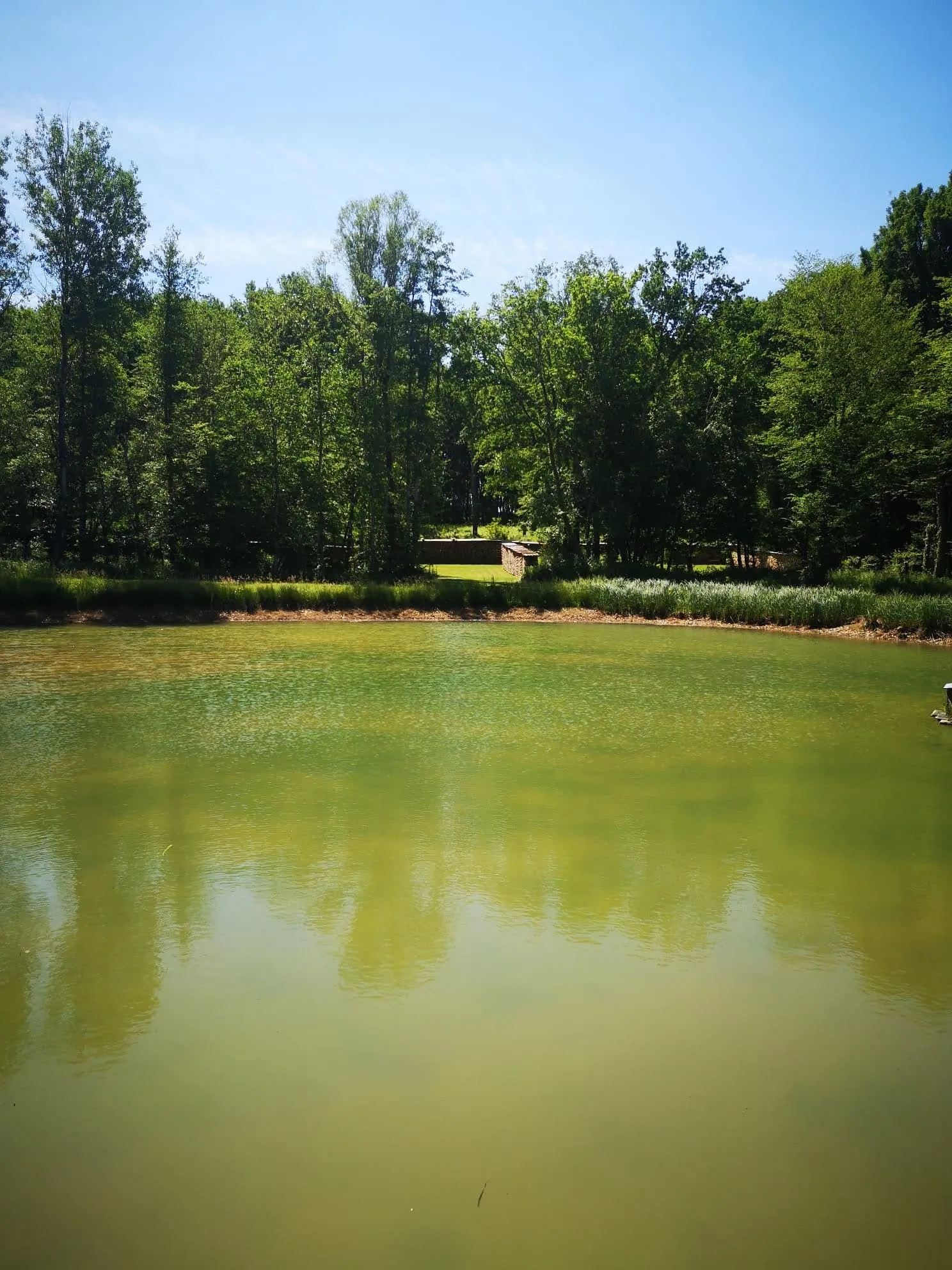 Etang pour pêcher et camper dans la Nièvre