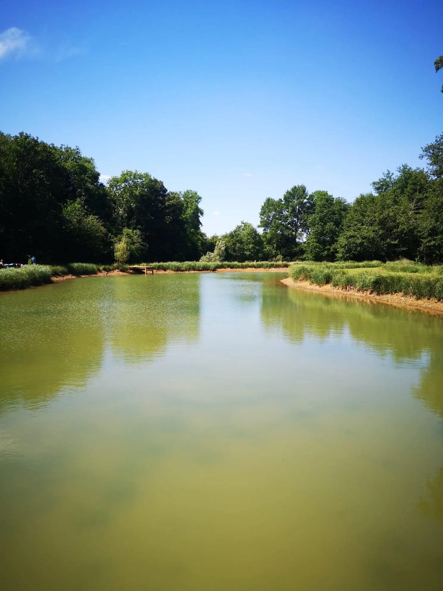 Etang pour pêcher et camper dans la Nièvre
