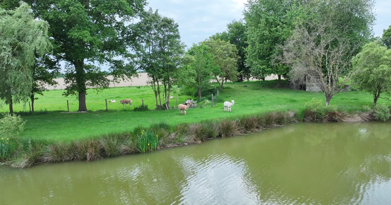 Gîte de charme 6 couchages au bord d’un étang pour les vacances