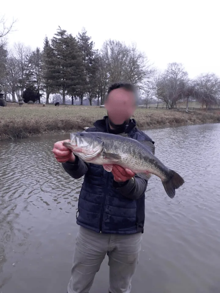 Gîte de charme 6 couchages au bord d’un étang pour les vacances