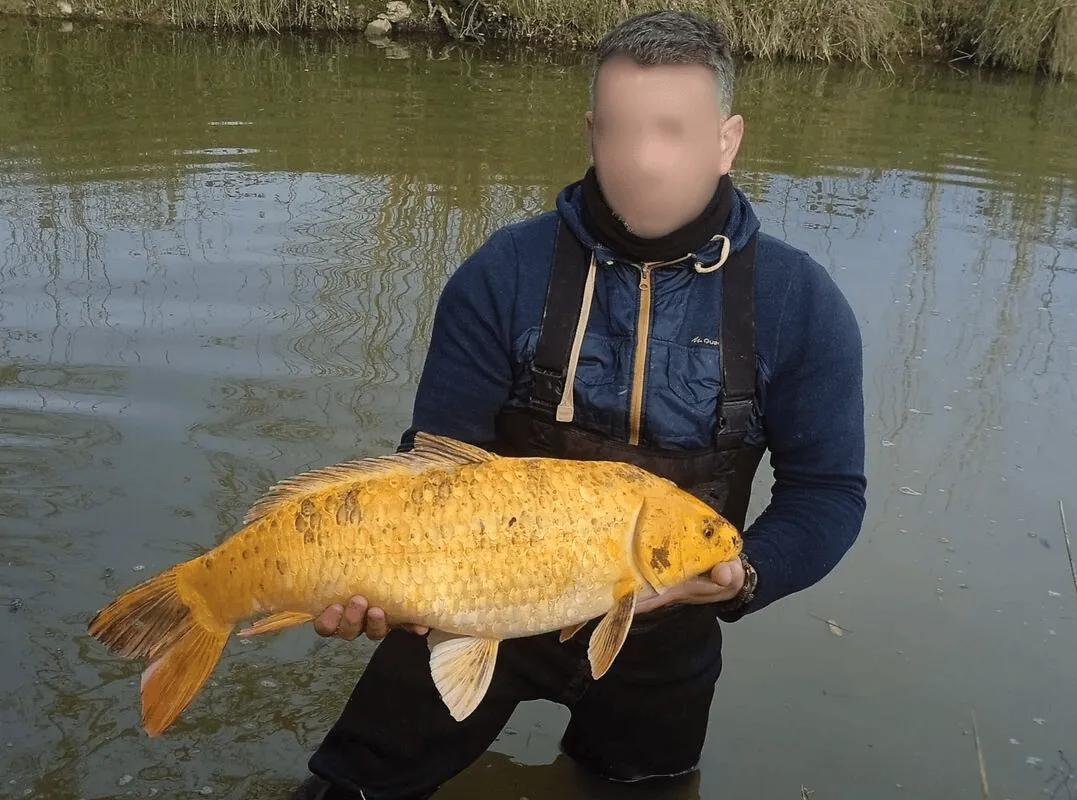 Gîte de charme 6 couchages au bord d’un étang pour les vacances