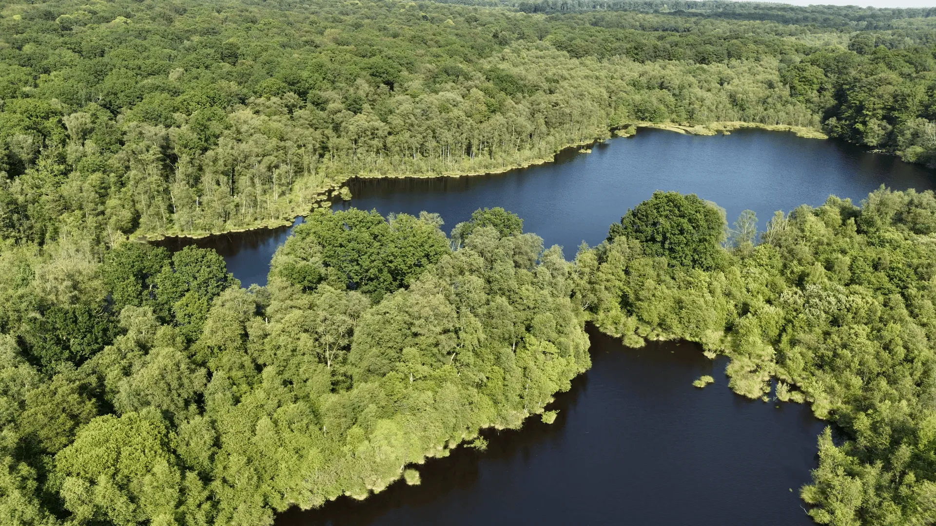 2 étangs de 12ha en déconnexion totale au coeur de la nature
